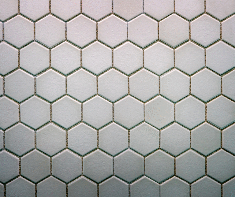 شركة تركيب انترلوك في الفجيرة